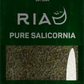 Pure Salicornia